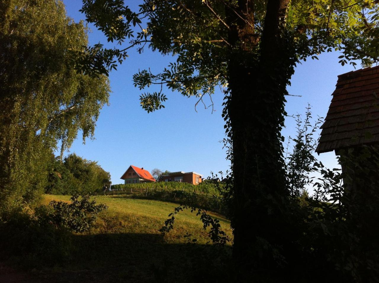 Ferienhaeuser Im Weingarten Fehring ภายนอก รูปภาพ