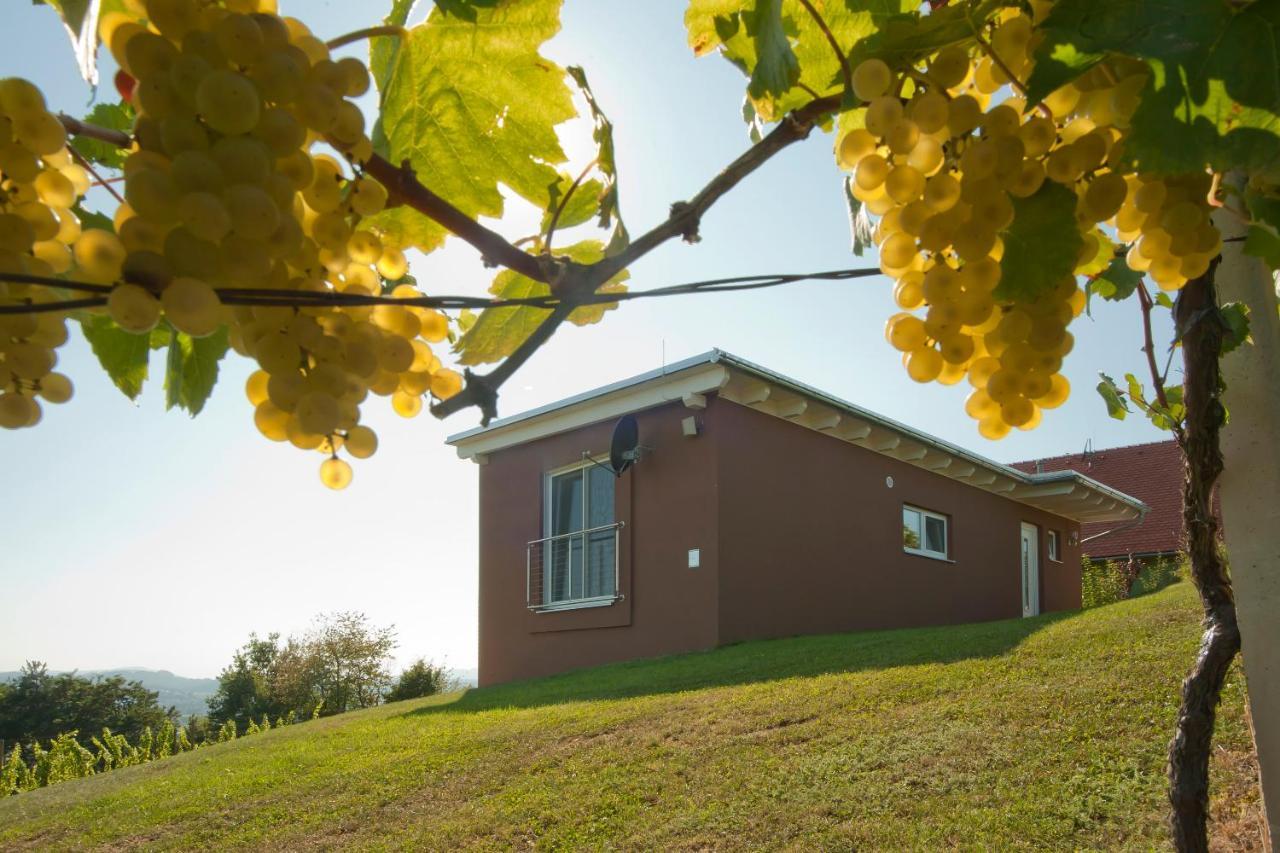 Ferienhaeuser Im Weingarten Fehring ภายนอก รูปภาพ