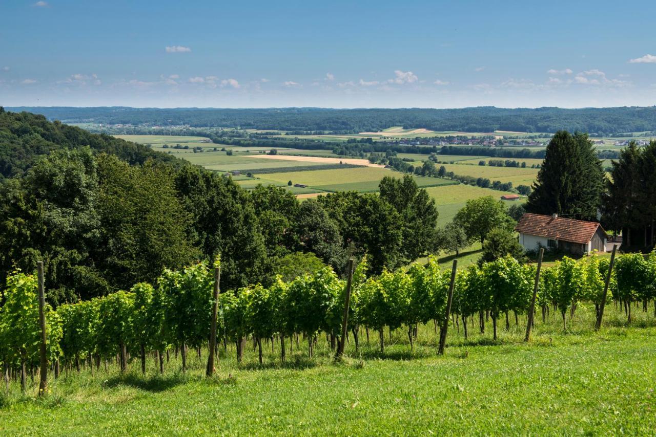 Ferienhaeuser Im Weingarten Fehring ภายนอก รูปภาพ